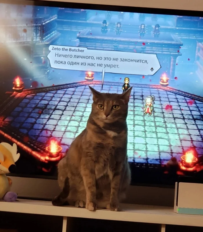 When the cat is not fed - Octopath Traveler, cat, Threat, Death, Fearfully