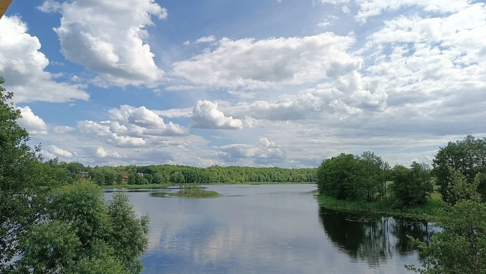 Беларусь. Озеро. Облака - Моё, Республика Беларусь, Лето, Озеро, Лебеди, Земляника, Ракушки, Облака, Отражение, Длиннопост