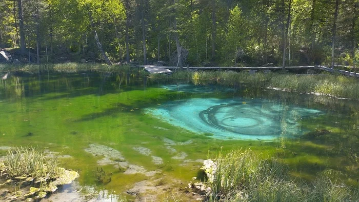 Geyser Lake - My, Altai Republic, Nature, Geyser Lake, The photo