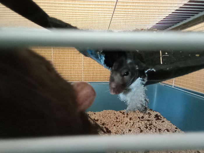      .       ,     ,     ,  .