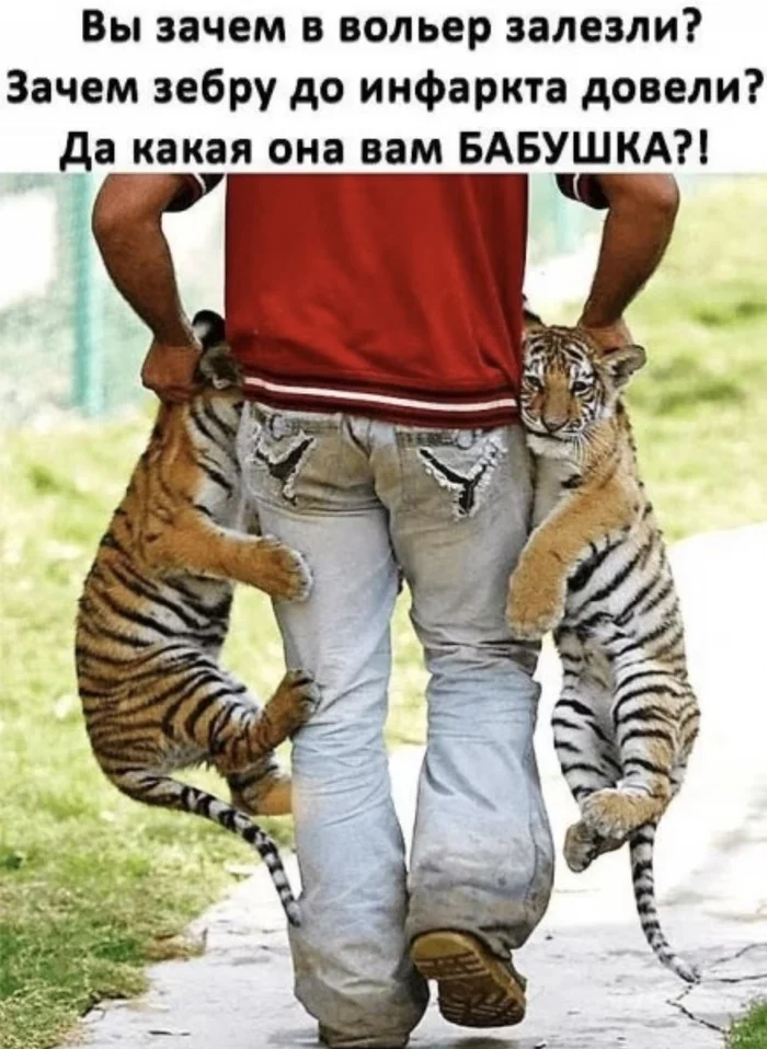 Grandmother - Humor, Picture with text, Tiger, Tiger cubs, Repeat