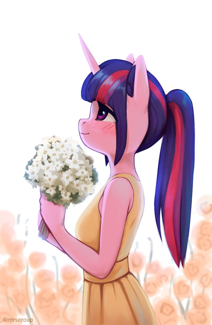  My Little Pony, Twilight Sparkle, 