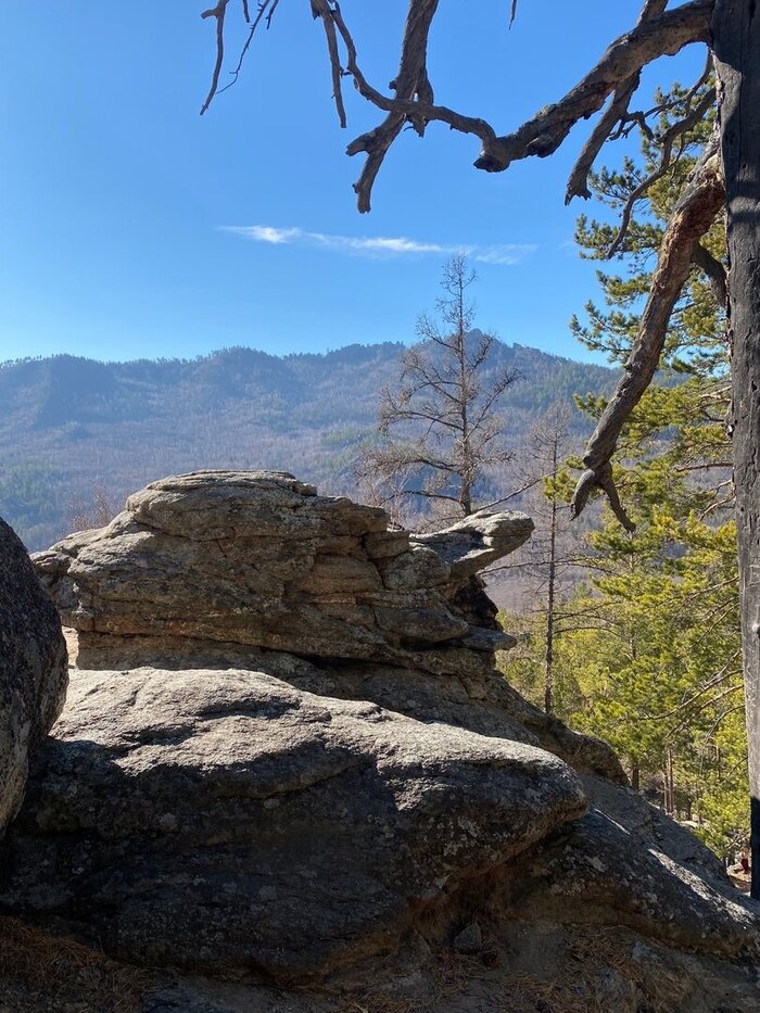 Знаменитая Черепаха