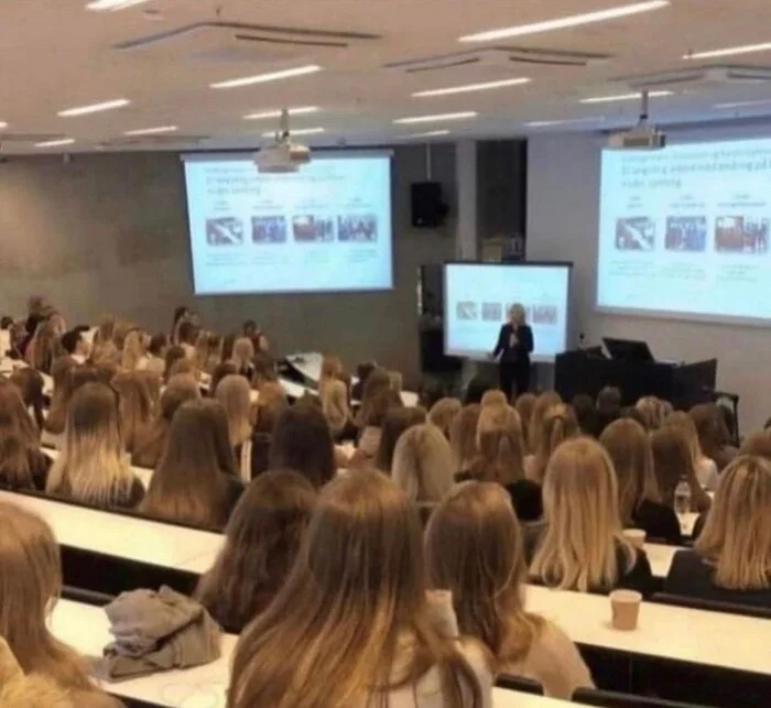 I wonder what they teach? - Lecture hall, Blonde, Girls