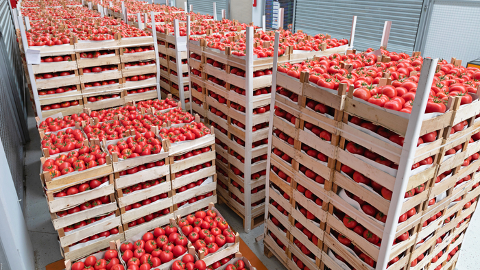 Современный овощной склад.