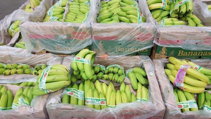 Транспортировка недозрелых (зелёных) бананов.