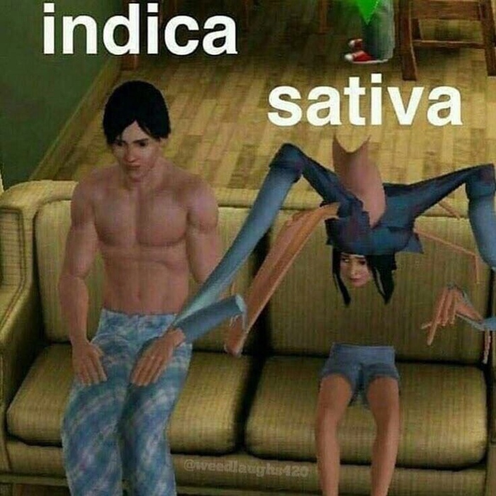  ) , ˸ 