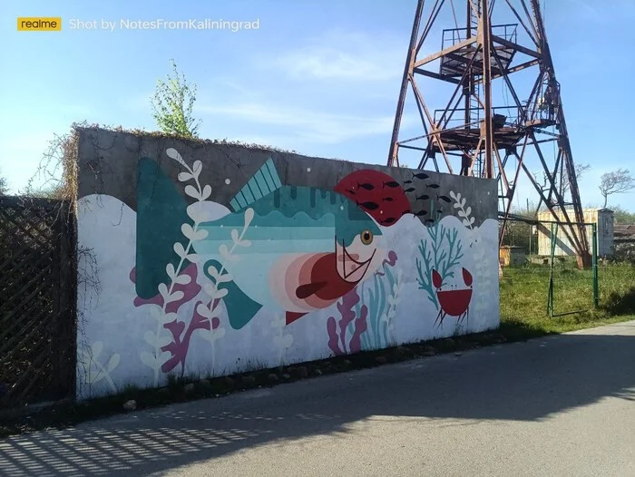 Street art - My, Curonian Spit, Kaliningrad region, City walk, Street photography, The photo, Graffiti, Street art, Art