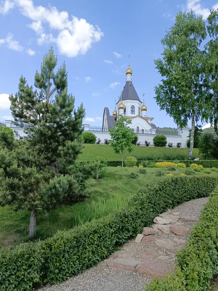 Weekend - Krasnoyarsk, Yenisei, Relaxation, Weekend, Summer, Breakfast, Mobile photography, Mood, Plants, Morning, Longpost
