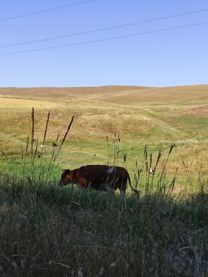 Алло, это наша земля!