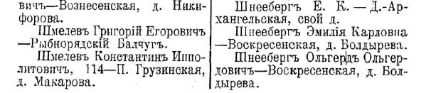 Торговое садовое заведение Альберта Карловича Шнееберга, г. Казань [1858 – 1910] Часть 2 - Моё, СССР, Краеведение, История города, Казань, Российская империя, Города России, История России, Татарстан, Длиннопост