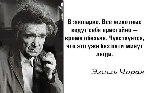 Favorite bayanchik) “The act of creation in the image and likeness”... - Picture with text, In the animal world, Classic, Emil Cioran, Zoo, Monkey