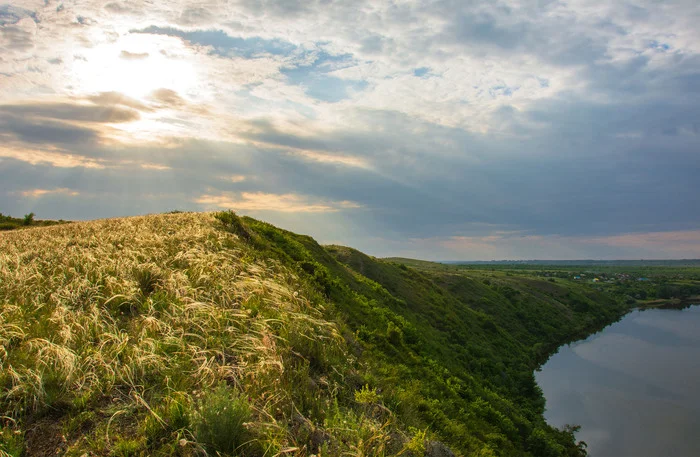 From shadow to sun... - My, The photo, Nikon, Nature, Landscape, River, Feather grass, Seversky Donets