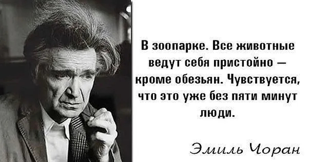 Известные цитаты авторов. Лучшие высказывания великих людей. Высказывания известных людей. Цитаты о животных великих людей. Цитаты известных людей о животных.