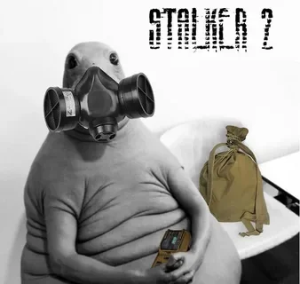 What is the probability that 5.09 will be released? - Stalker, Stalker 2: Heart of Chernobyl