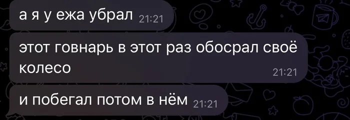 Внутренний голос никогда так сильно не ошибался - Моё, Животные, Ёжик, Видео, Вертикальное видео, Переписка