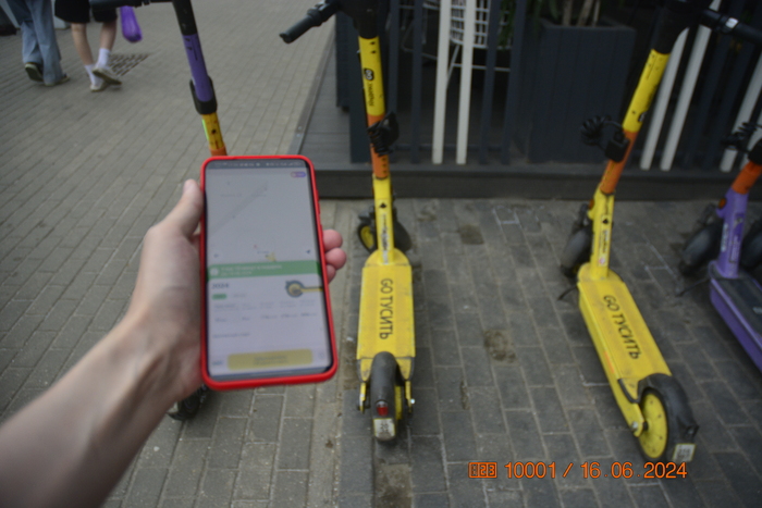 ... ,       2024 (  , )