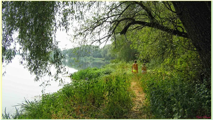 Summer.On the river - My, The photo, Nature, Summer, Landscape, On the river