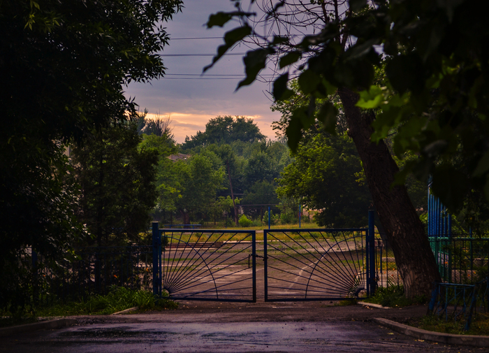  , , , , Nikon d3100