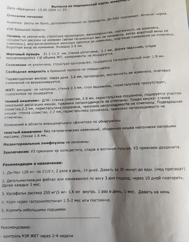 Помоги, лига ветеринаров) - Моё, Кот, Ветеринария, Помощь животным, Длиннопост