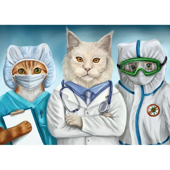 Happy Medical Worker's Day! - The medicine, Holidays, Professional holiday, cat