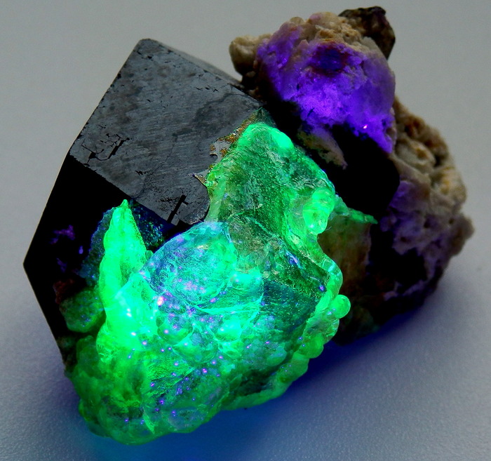 -    -.   , .   -365 .    .