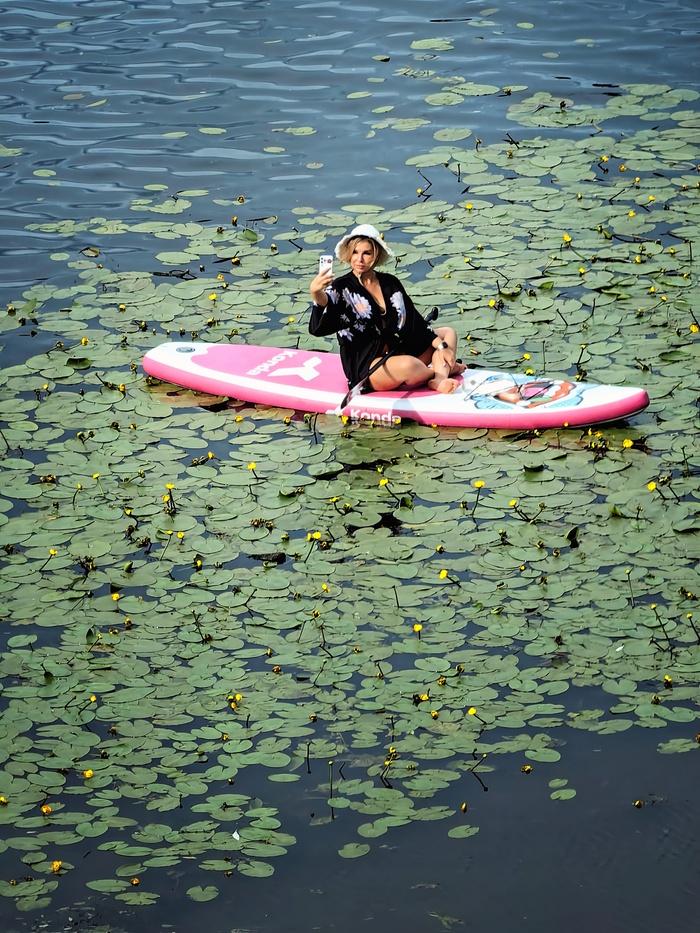 ������� ��������