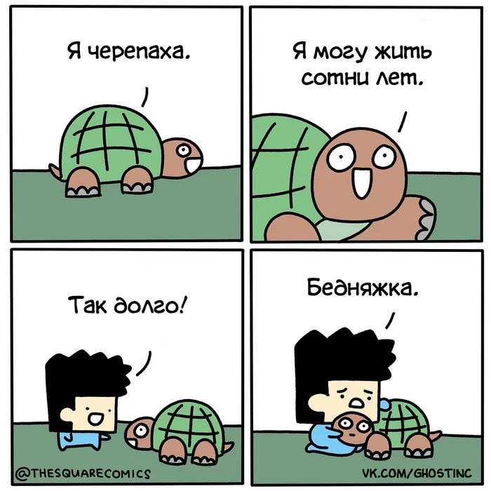 Черепаха - Комиксы, Перевел сам, Thesquarecomics, Черепаха