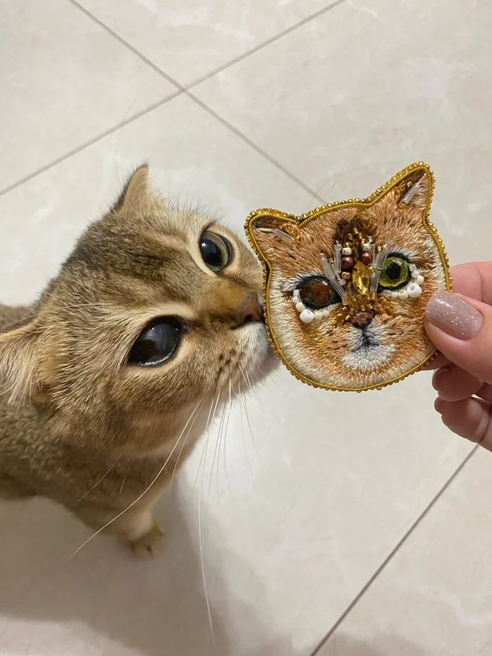 Animals have no flaws - My, Embroidery, Brooch, cat, Video, Vertical video, Longpost