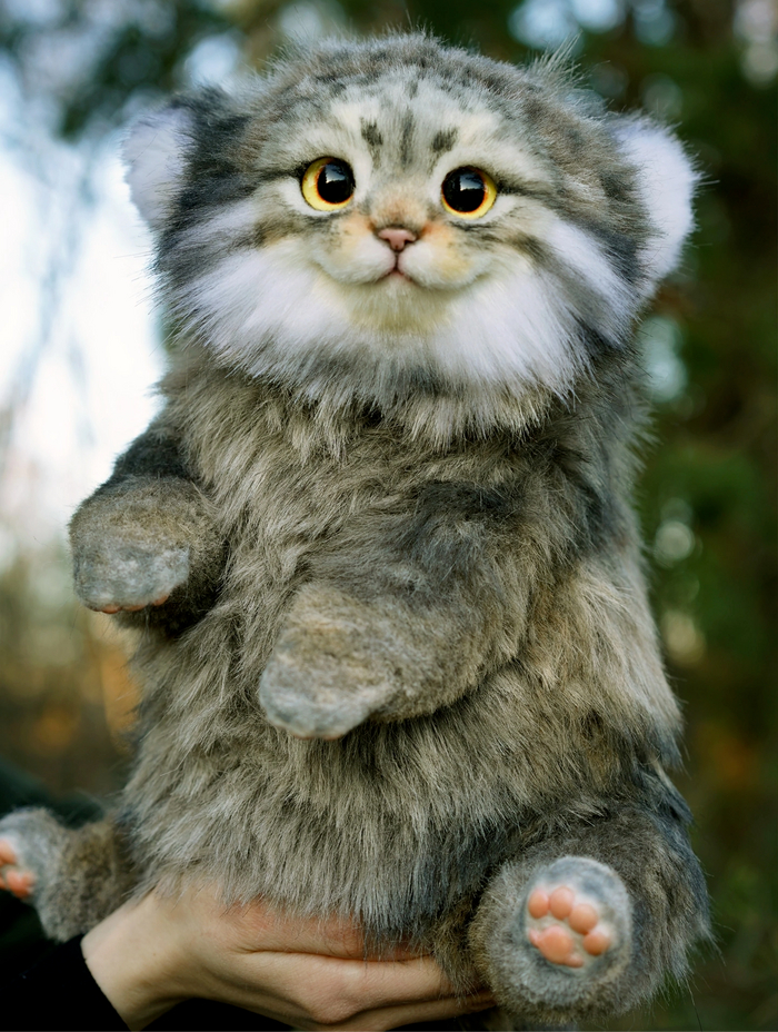 ������� 11