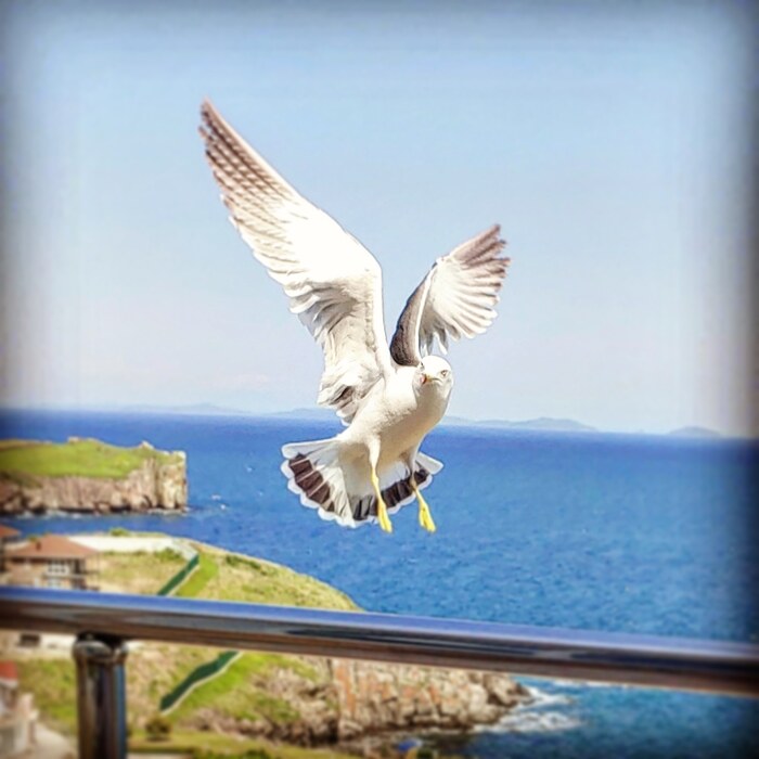 ���������� �������� � ����