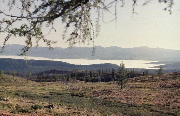Вот туда, вниз, мы и ходили за дровами и строительным лесом. Да и лес-то был лиственничный, а лиственница - очень тяжёлое дерево.