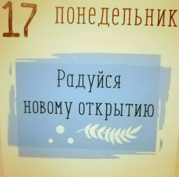 Вайб дня от 17 июня - Моё, Календарь, Кот учёный, Видео, Вертикальное видео, Длиннопост