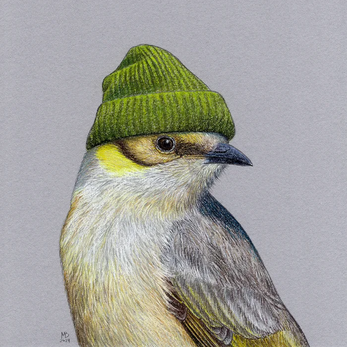 Green-capped honeyeater - My, Drawing, Birds, Animalistics, Art, Pastel, Birds in hats, Cap, Traditional art