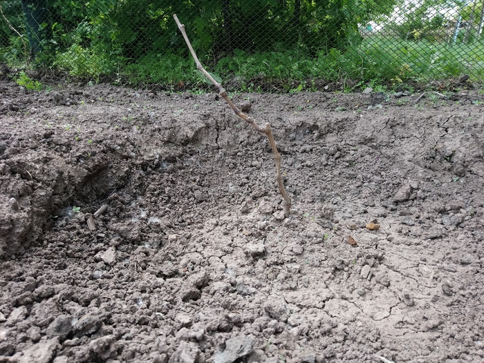 �������� �����