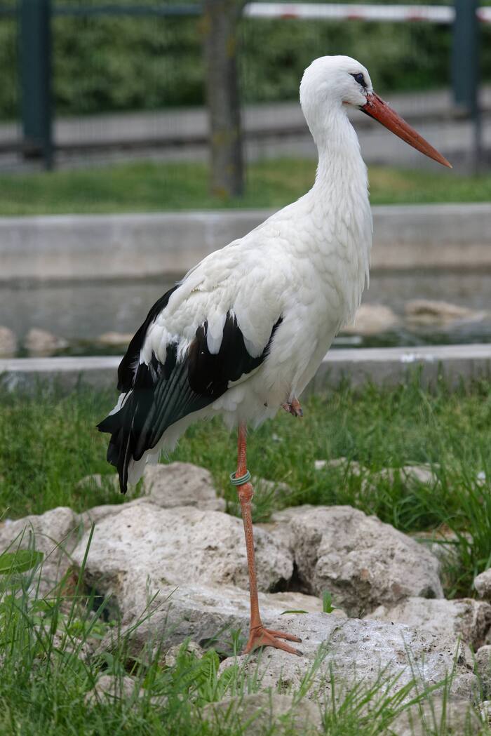 Балансирует...