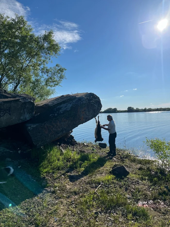 Концы шкуру в воду - Бараны, Шкура, Негатив, ВКонтакте (ссылка), Длиннопост