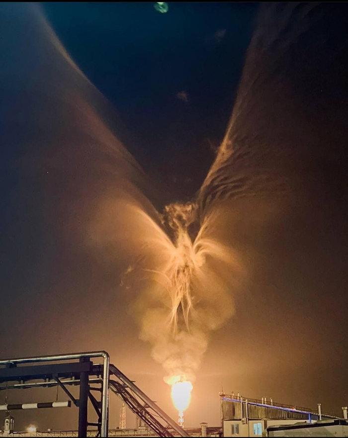 Возрождение феникса на Новопортовском нефтегазоконденсатном месторождении