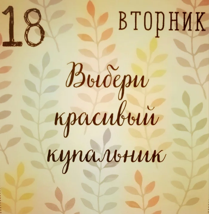 Вайб дня от 18 июня - Моё, Календарь, Кот учёный, Видео, Вертикальное видео, Длиннопост