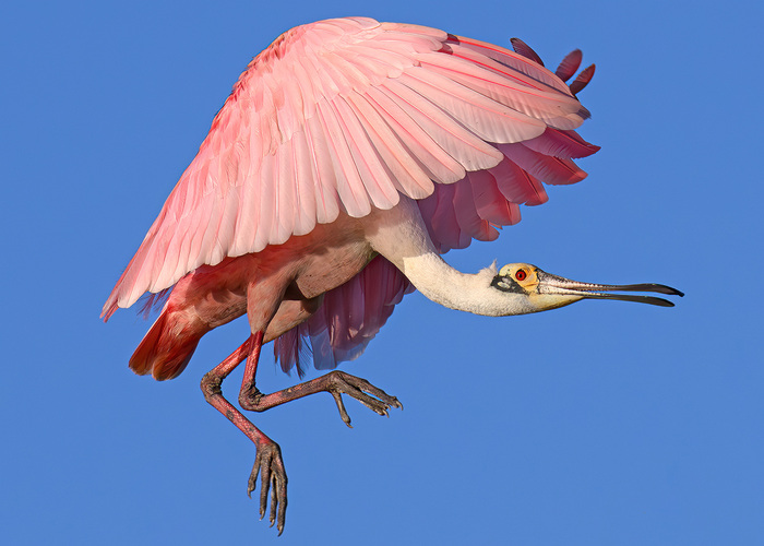 А теперь Горбатый! Я сказал – Горбатый!!!