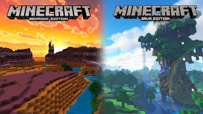      Minecraft Bedrock Edition?