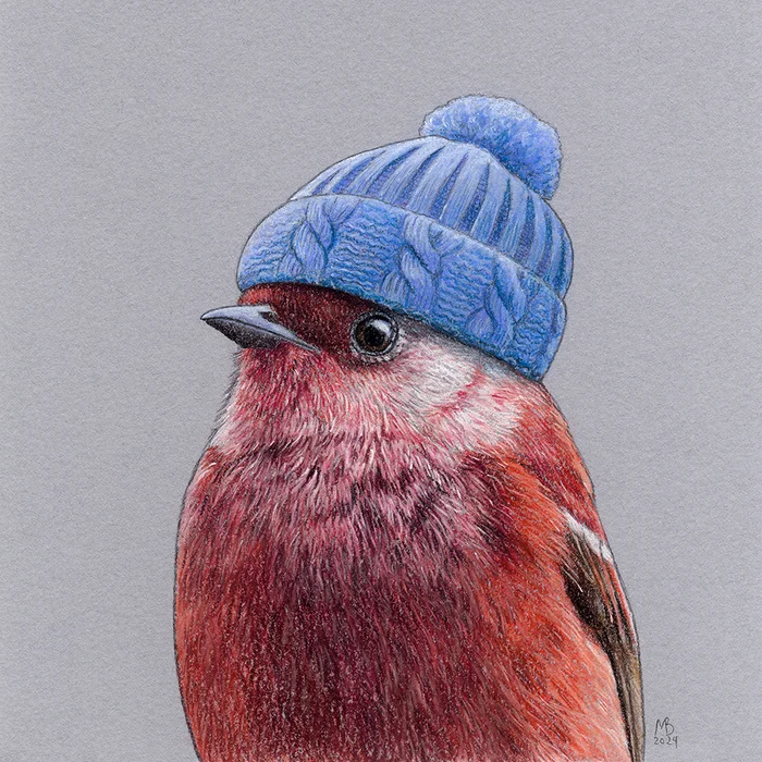 Pink Wilsonia - My, Drawing, Birds, Animalistics, Art, Pastel, Birds in hats, Traditional art, Cap