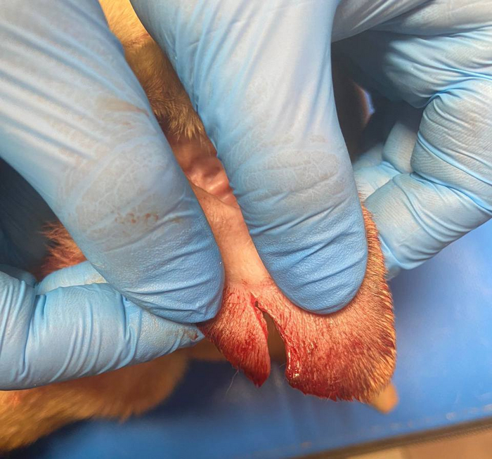 �� ����� ���������� �����������