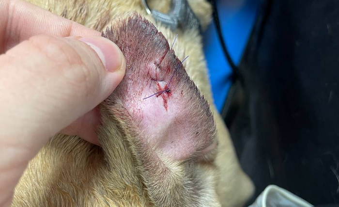 ���� ���� �����������, �� �����