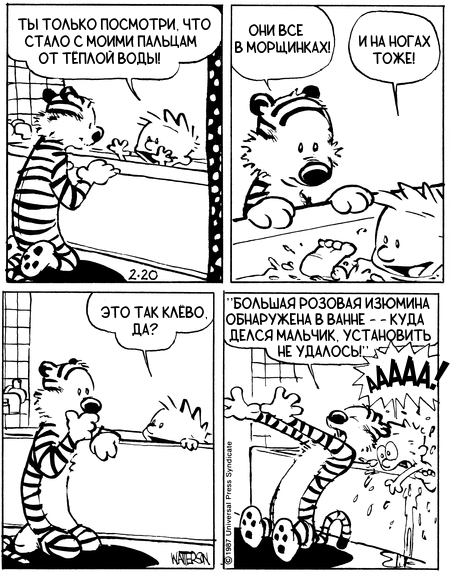 Calvin and Hobbes #207 - Calvin and Hobbs, Translated by myself, Comics