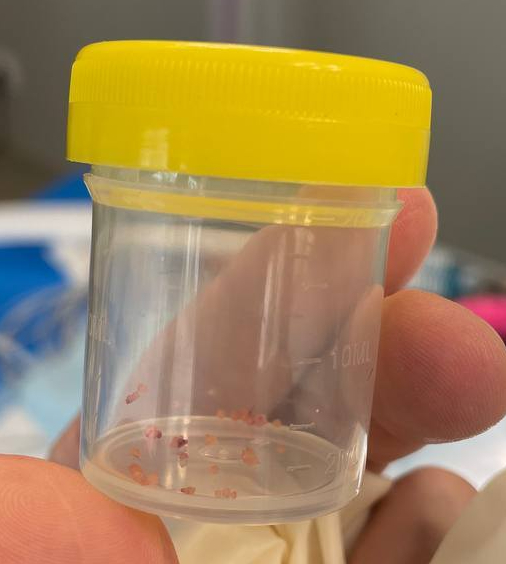 �������, ������� ��������� ������.