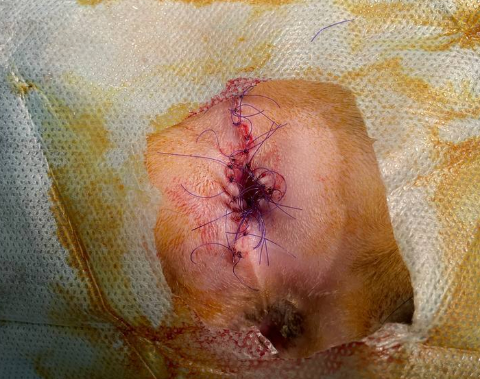 ��� ��� �������� �������� ���������.