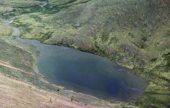 Разноцветное озеро. Названия у него не было, но очень уж оно полосатое.