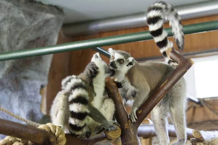 Семейное фото. Но тут почти эротика =)