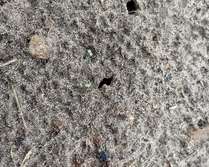 На этом фото обратите внимание - отверстие в центре фото - то, что нужно. Отверстие вверху фото - ничего нам не даст.